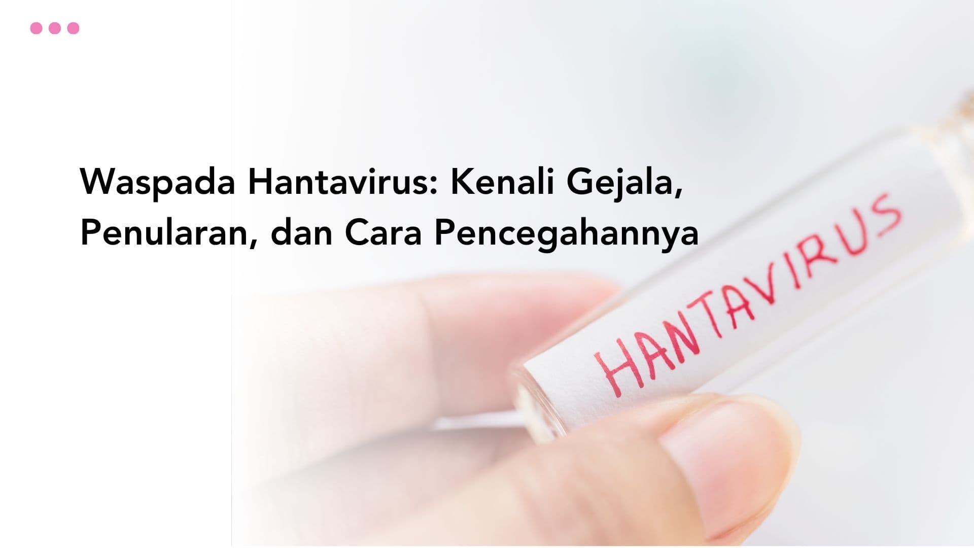 Waspada Hantavirus: Kenali Gejala, Penularan, dan Cara Pencegahannya